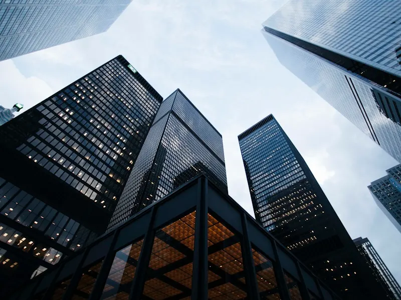 Immobilien: Makler & Verwaltung